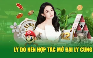 Tiềm năng khi hợp tác đại lý 009 Casino