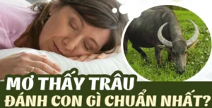 Điềm báo từ giấc mơ thấy trâu là gì? Mơ thấy trâu đánh đề con gì?