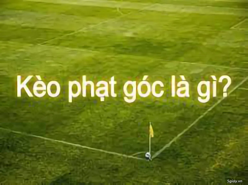 Tại sao kèo phạt góc lại được yêu thích?