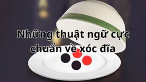 Thuật ngữ xóc đĩa có vai trò gì?