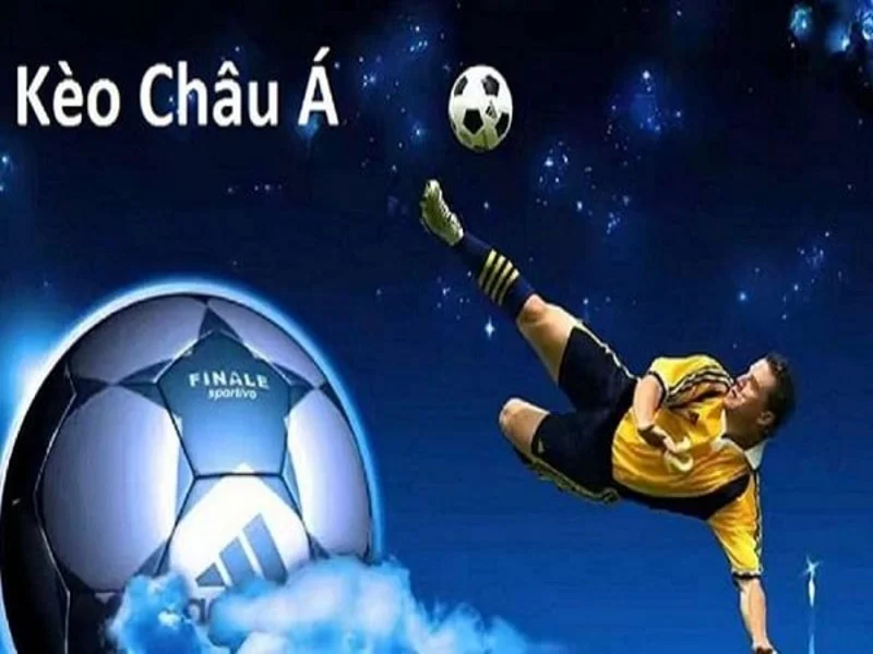 Kèo Châu Á là gì? Những dạng kèo châu Á nổi bật