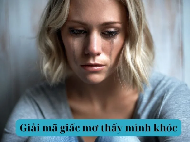 Nằm mơ thấy mình khóc đánh đề con gì?